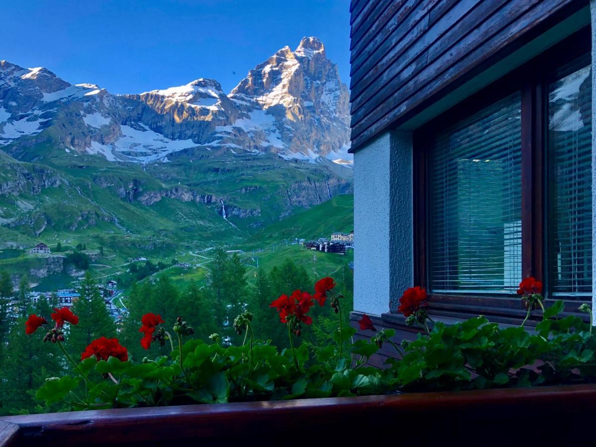 Panoramic Apartment Breuil-Cervinia Exteriör bild